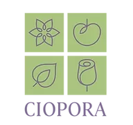 Ciopora