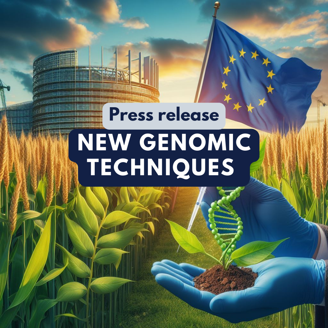 “New Genomic Techniques: Members of European Parliament back rules to support green transition of farmers”... but puts a ban on patents on NGT plants...